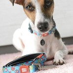 MAX & MOLLY LITTLE MONSTERS SMART ID COLLAR ΠΕΡΙΛΑΙΜΙΟ ΣΚΥΛΟΥ SMALL