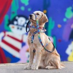 MAX & MOLLY LITTLE MONSTERS SHORT LEASH ΟΔΗΓΟΣ ΠΕΡΙΠΑΤΟΥ ΣΚΥΛΟΥ SMALL