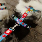 MAX & MOLLY LITTLE MONSTERS H-HARNESS ΣΑΜΑΡΑΚΙ ΣΚΥΛΟΥ SMALL