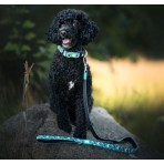 MAX & MOLLY STORM SHORT LEASH ΟΔΗΓΟΣ ΠΕΡΙΠΑΤΟΥ ΣΚΥΛΟΥ MEDIUM