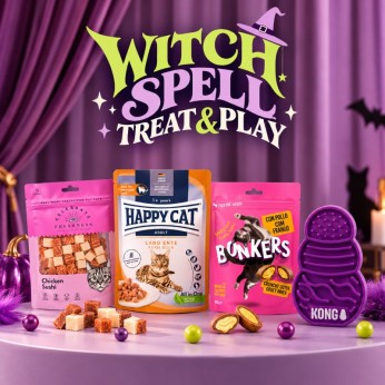 WITCH SPELL TREAT AND PLAY COMBO