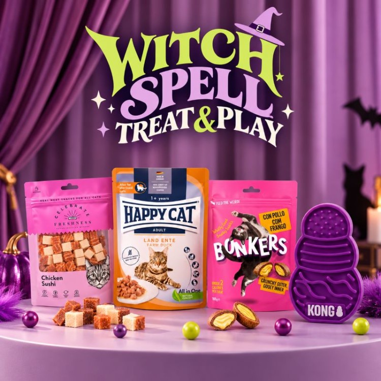WITCH SPELL TREAT AND PLAY COMBO