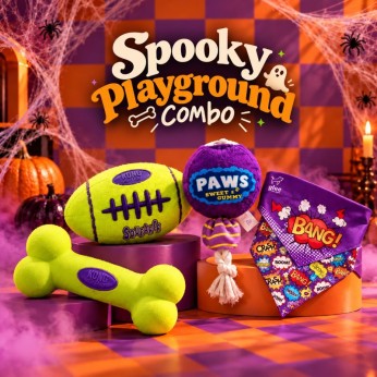 SPOOKY PLAYGROUND