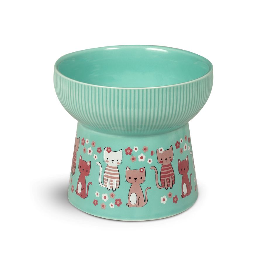 Glee Κιττεν Bloom Υπερυψωμενο Κεραμικο Μπολ Τιρκουαζ Γατας 250Ml