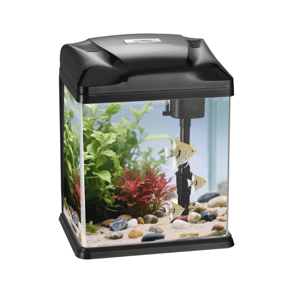 Oasis Ενυδρειο Μαυρο Καπακι Με Φιλτρο Και Led 33X21X32Cm 22Lt