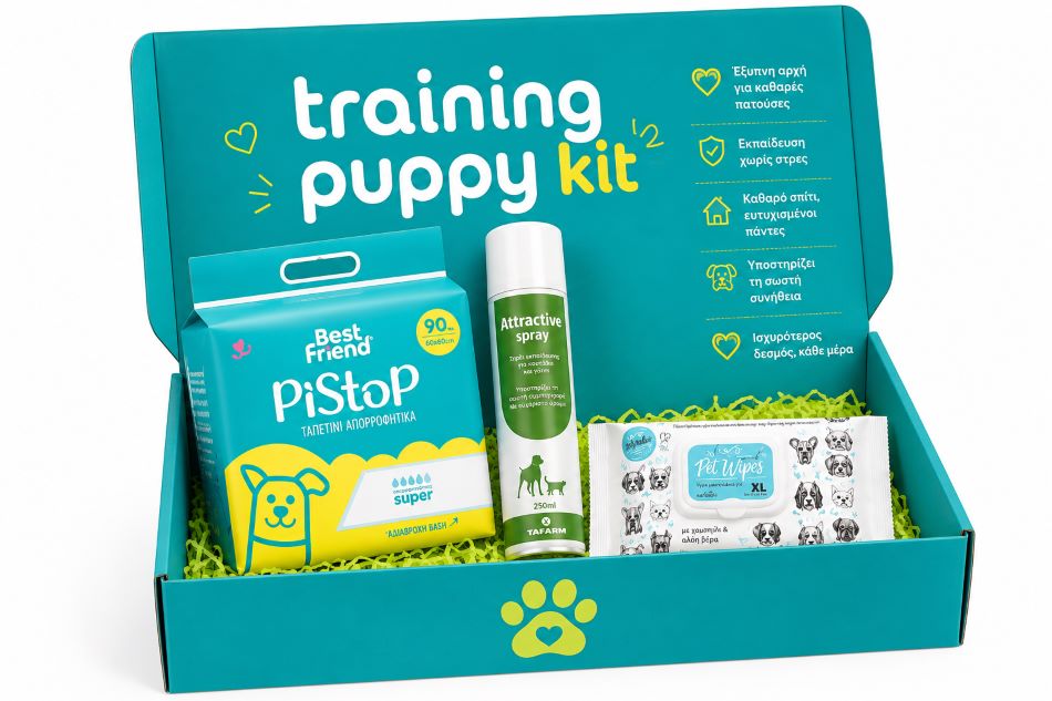 All About Pet Puppy Toilet Training Kit