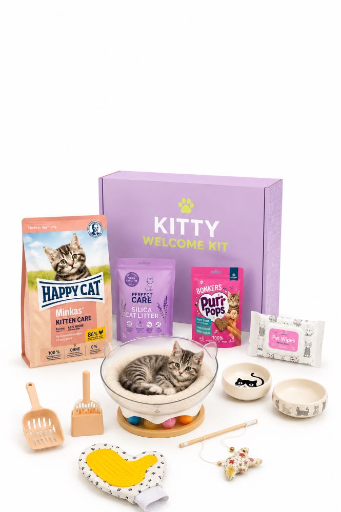 All About Pet Kitty Welcome Kit