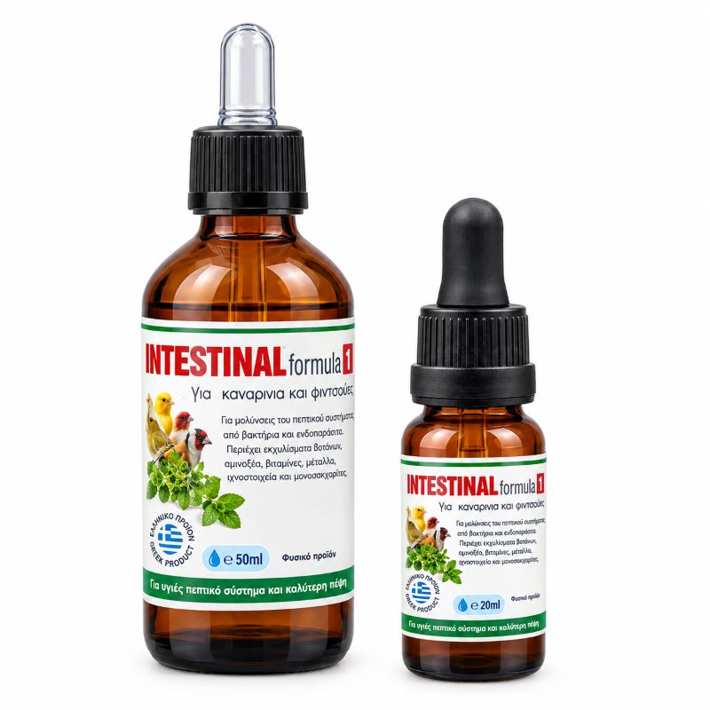 Evia Parrots Intestinal Formula 1 Σκευασμα Προστασιας Γαστρεντερικου Ωδικων Πτηνων 100Ml